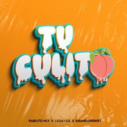 Cover of Tu Culito