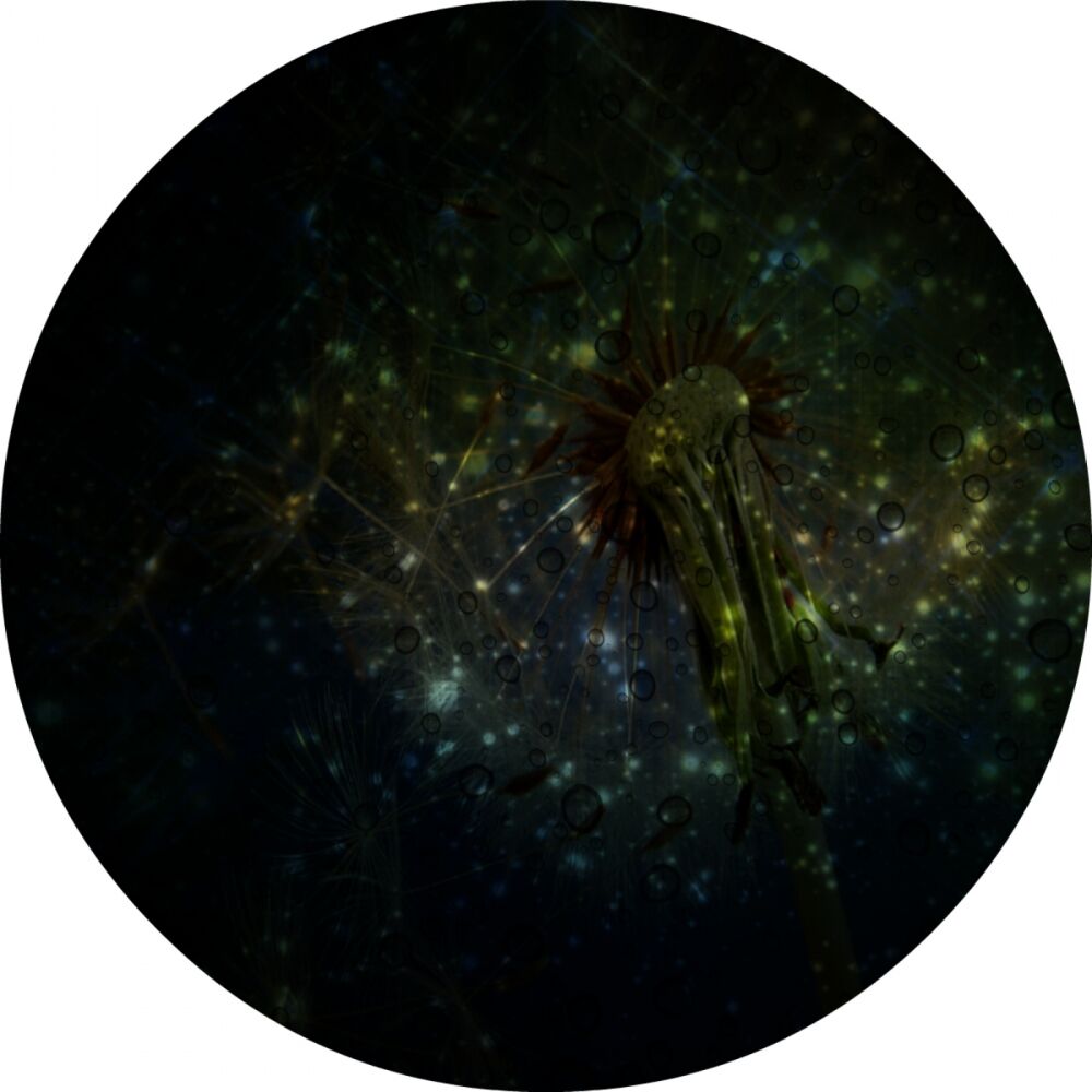 Picture of Infinity EP