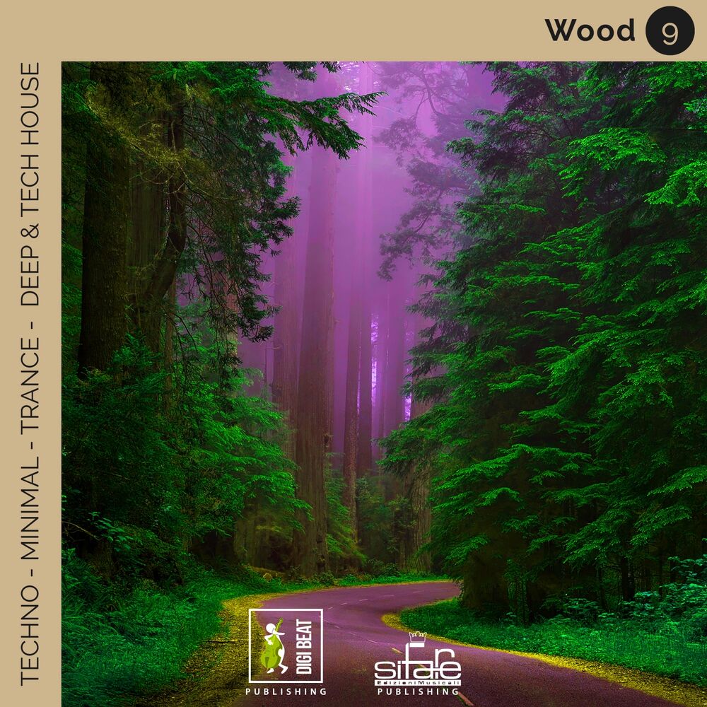 Picture of Wood 9 (Techno Minimal Trance Deep and Tech House Remix)