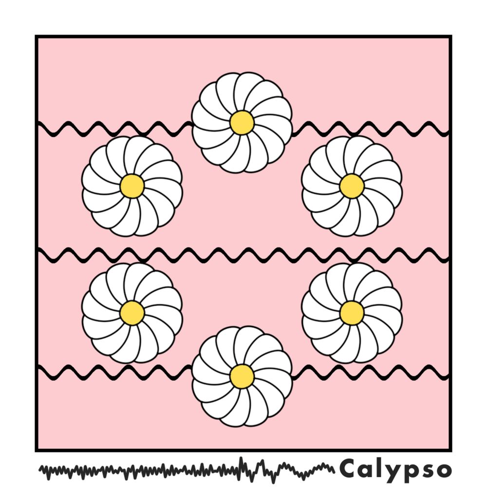 Picture of Calypso