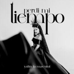 Cover of Perdi Mi Tiempo