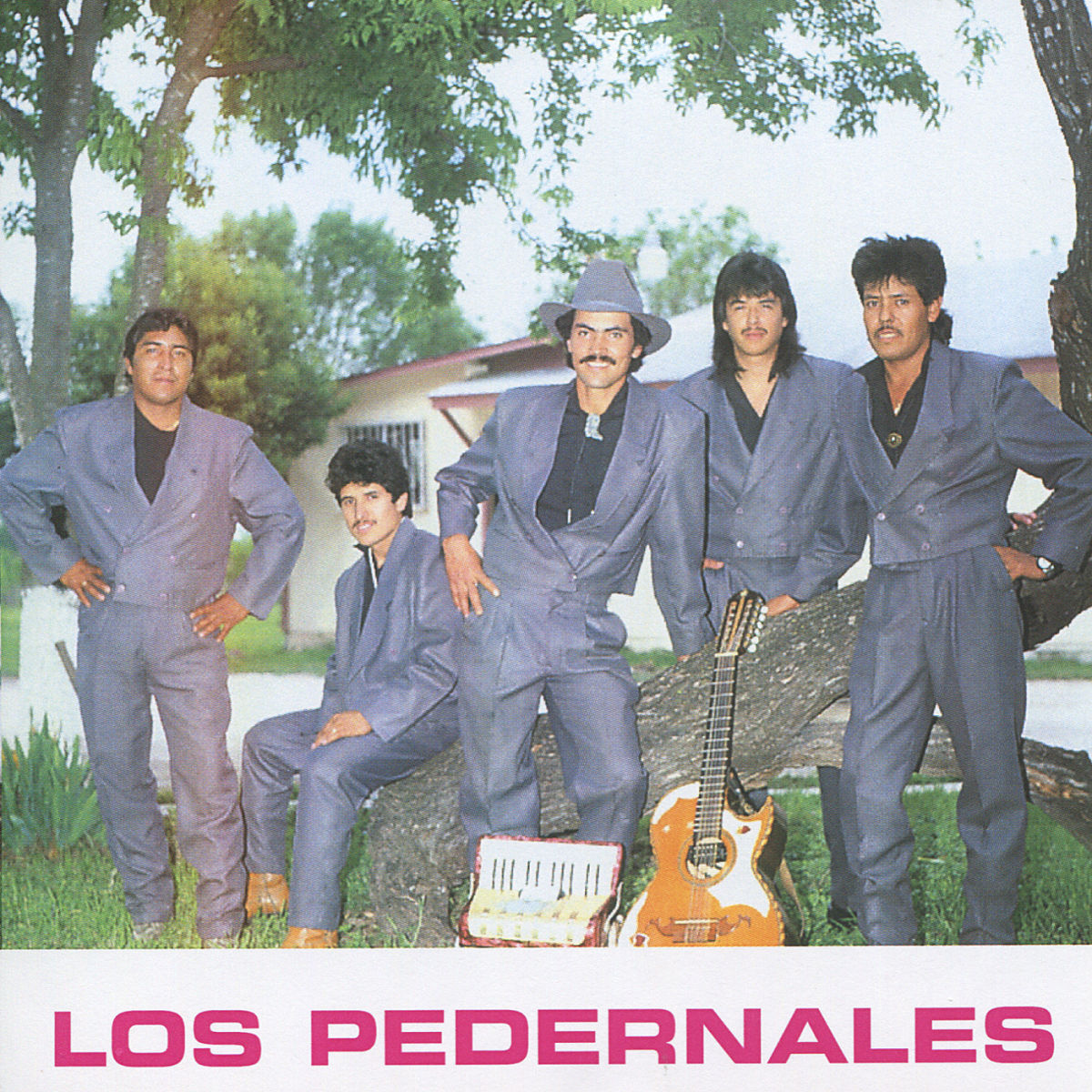Album cover of Los Pedernales