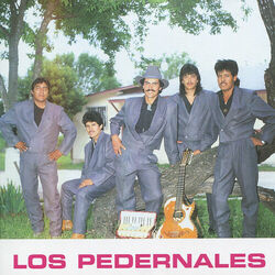 Cover of Los Pedernales