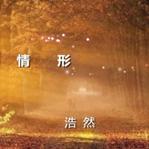 情形
