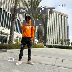 Cover of I cant Lie