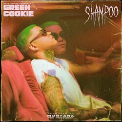 Cover of Shampoo