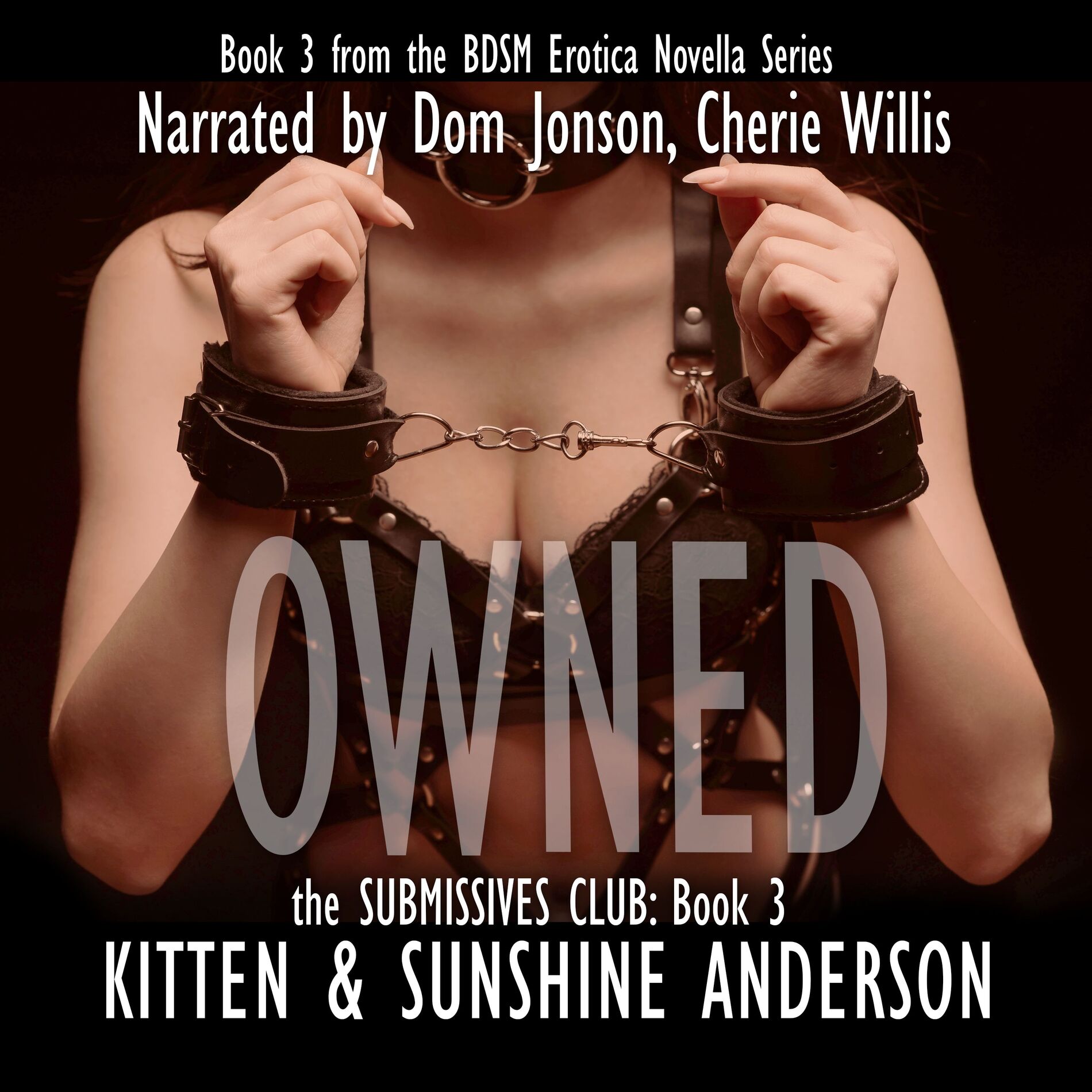 Album cover of OWNED
