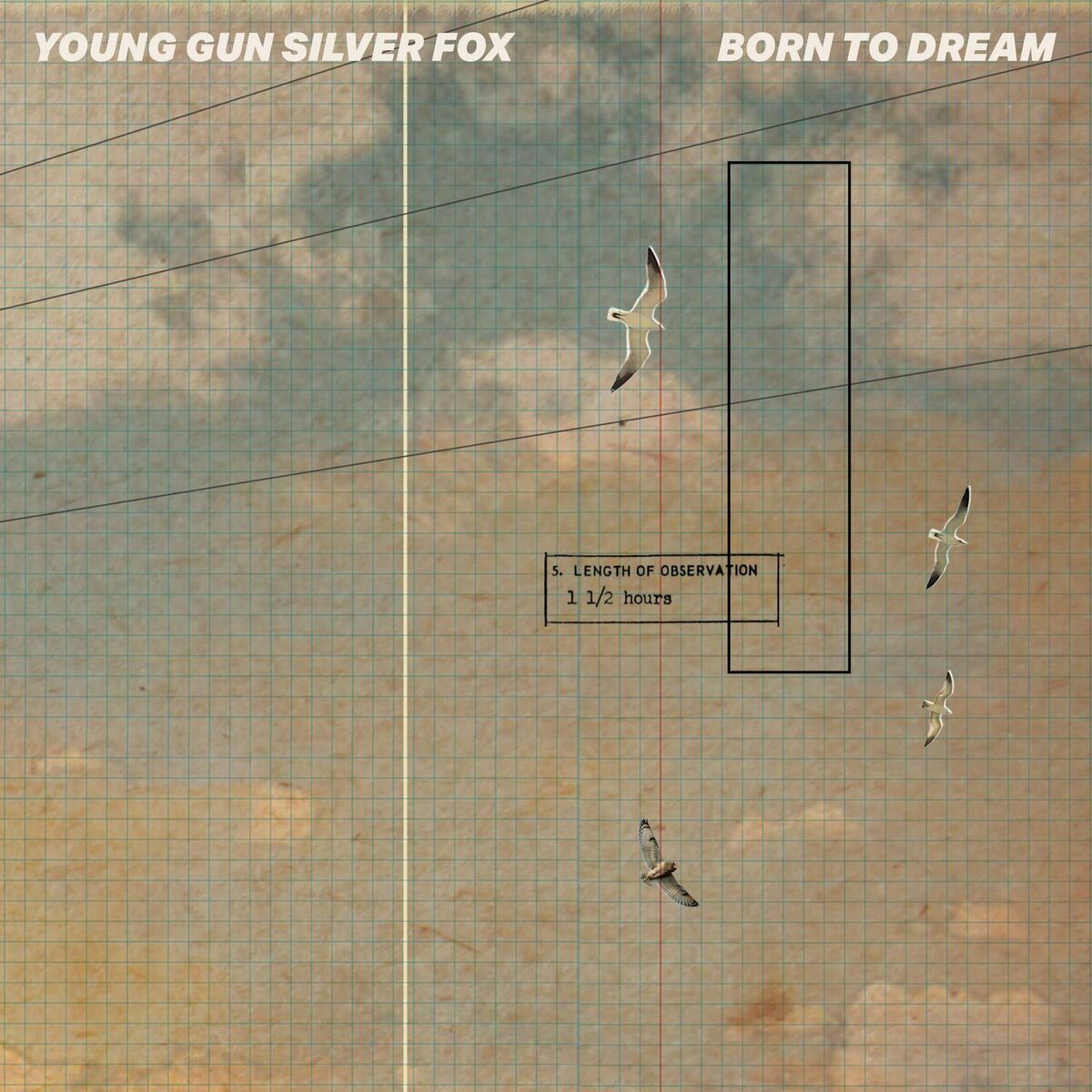Album cover of Born To Dream