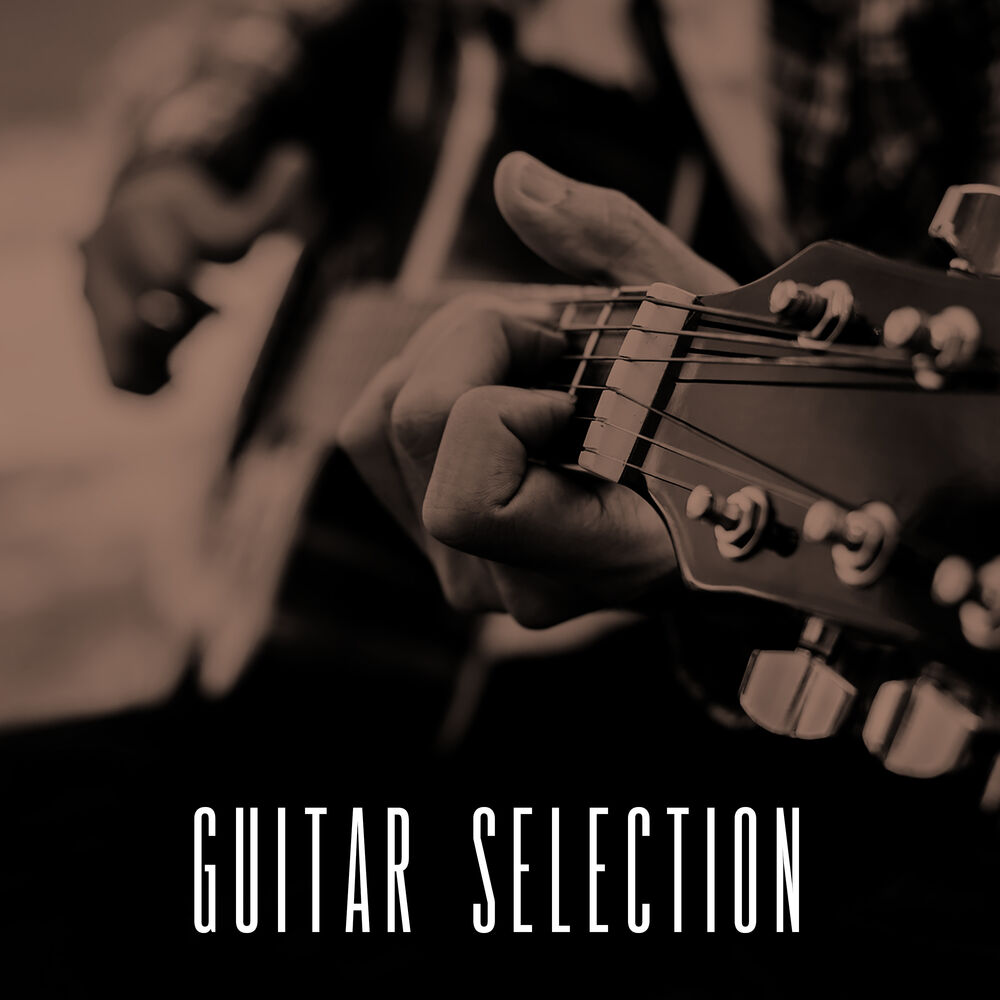 Picture of Guitar Selection