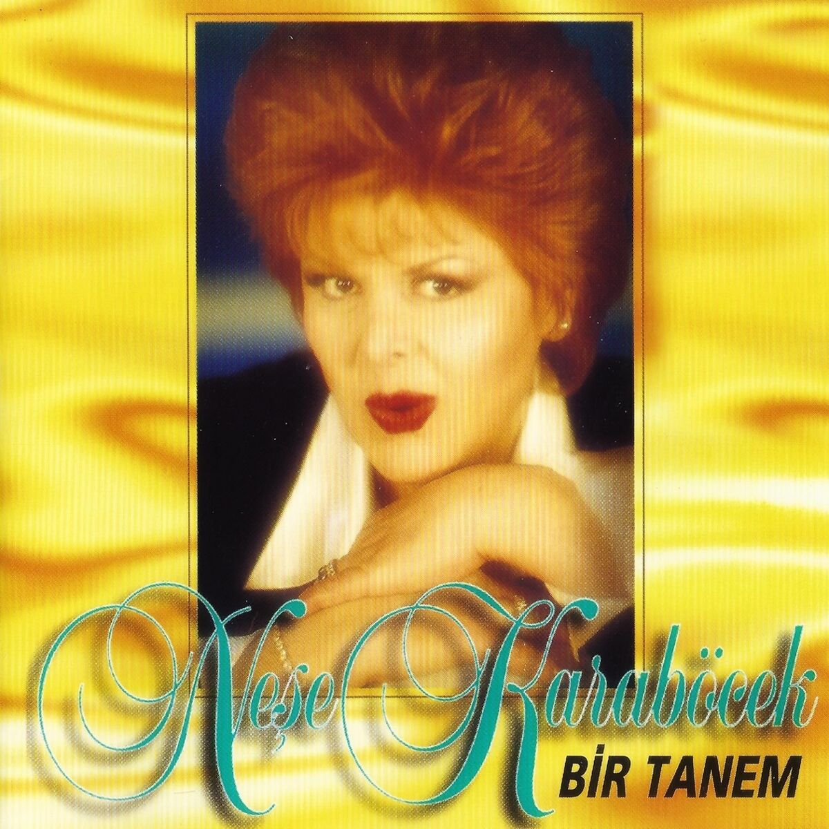 Album cover of Bir Tanem