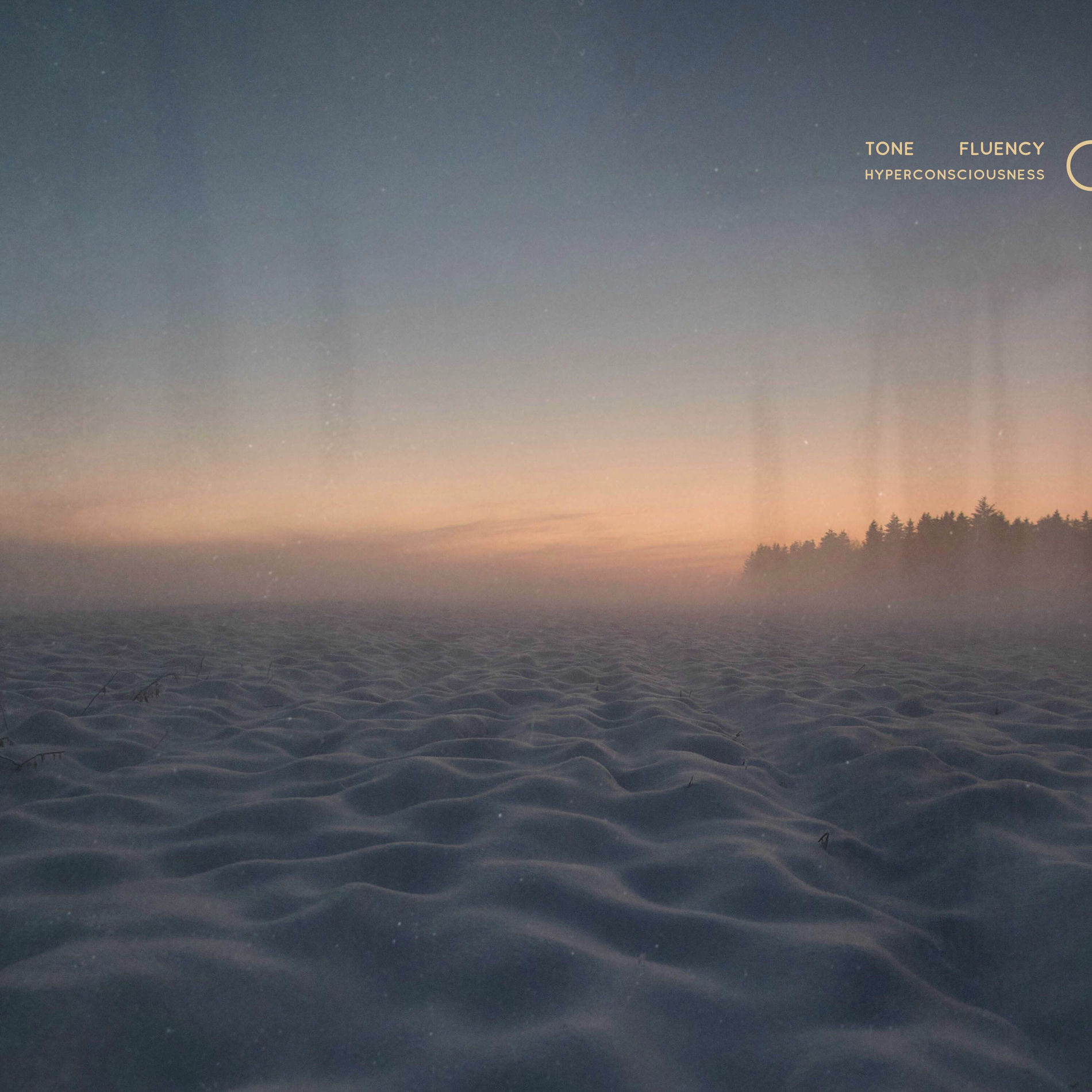 Album cover of Hyperconsciousness