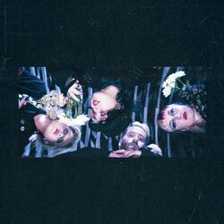 Cover of Would You Come To My Funeral