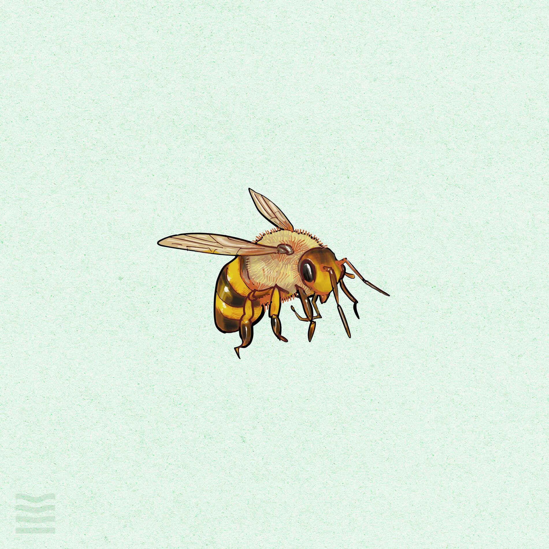 Album cover of Honeypot