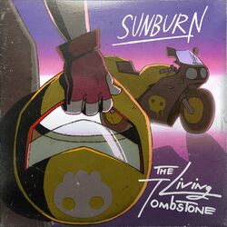 Cover of Sunburn