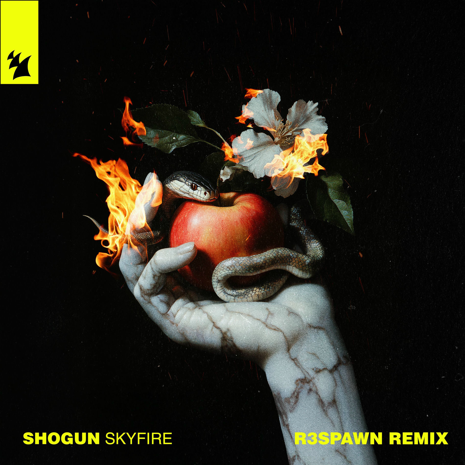 Album cover of Skyfire