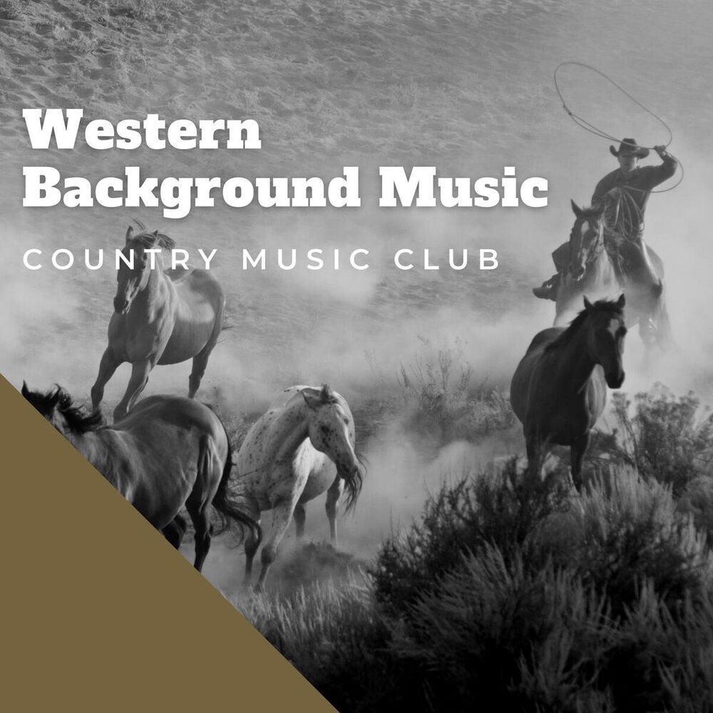 Picture of Western Background Music