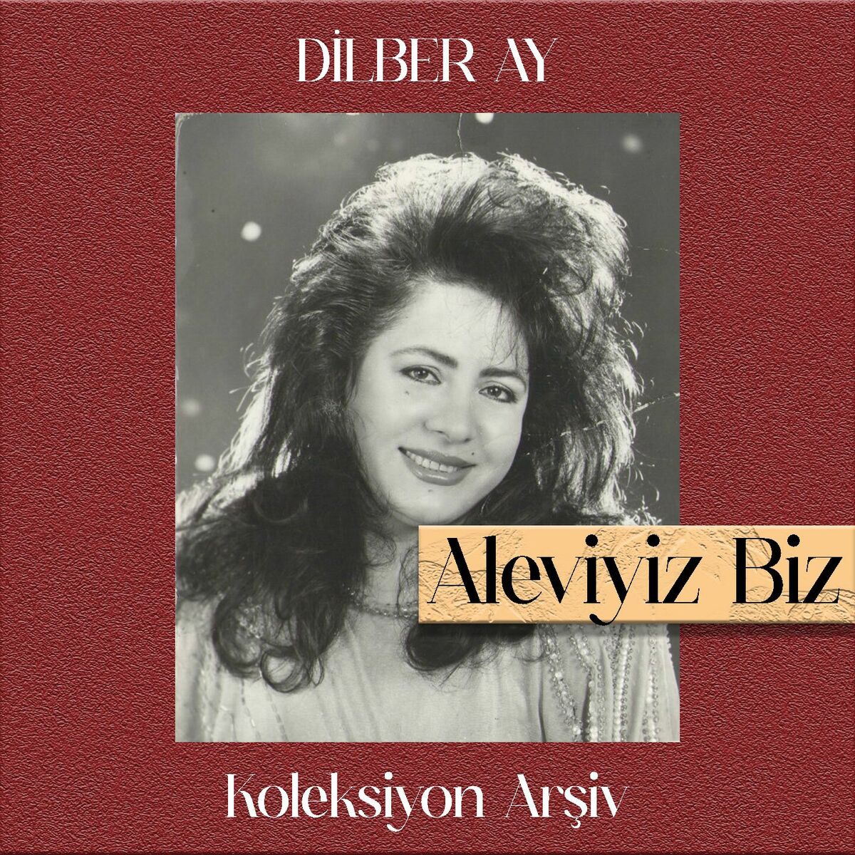 Album cover of Aleviyiz Biz