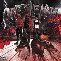 music cover