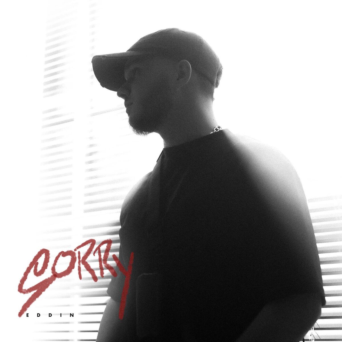 Album cover of Sorry