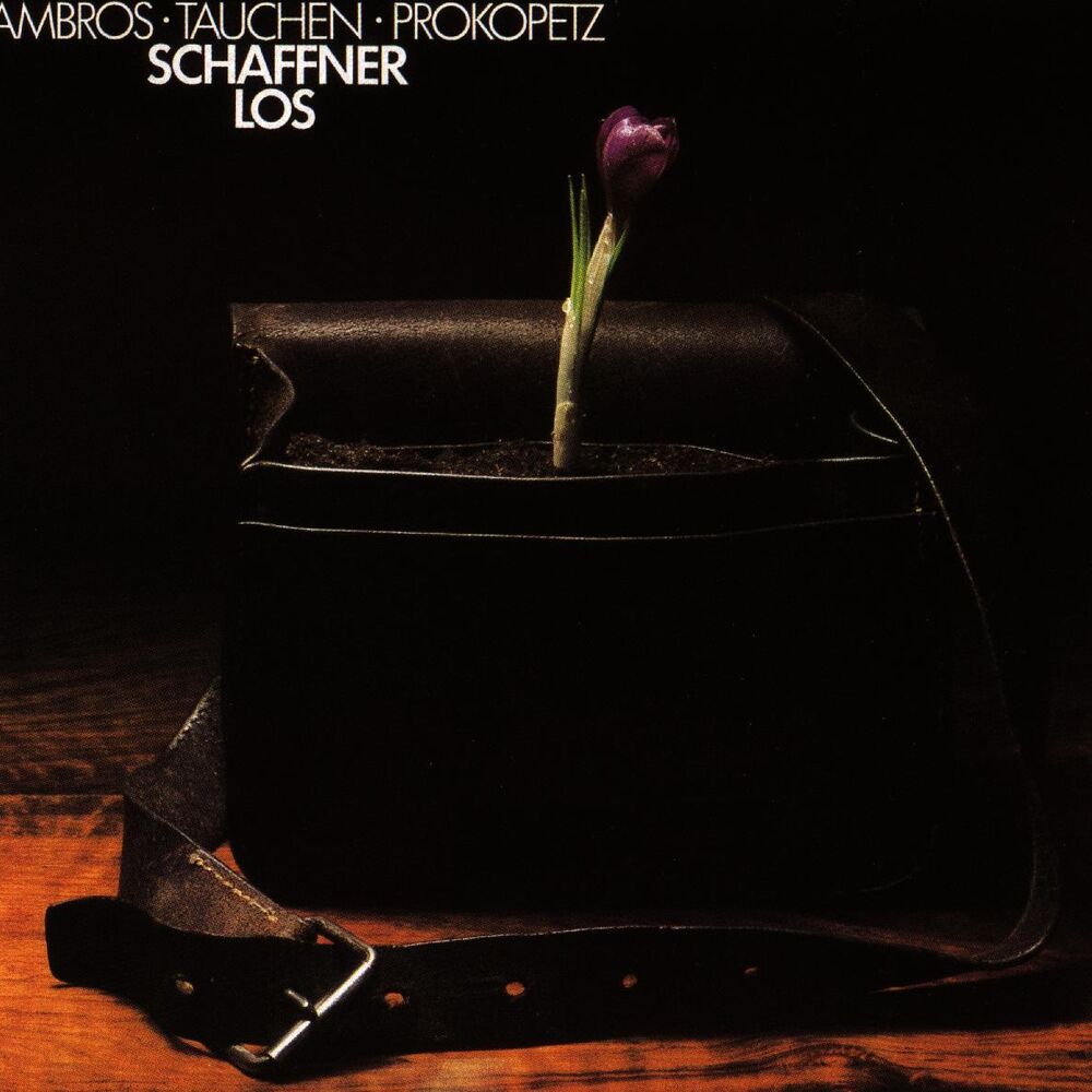 Picture of Schaffnerlos