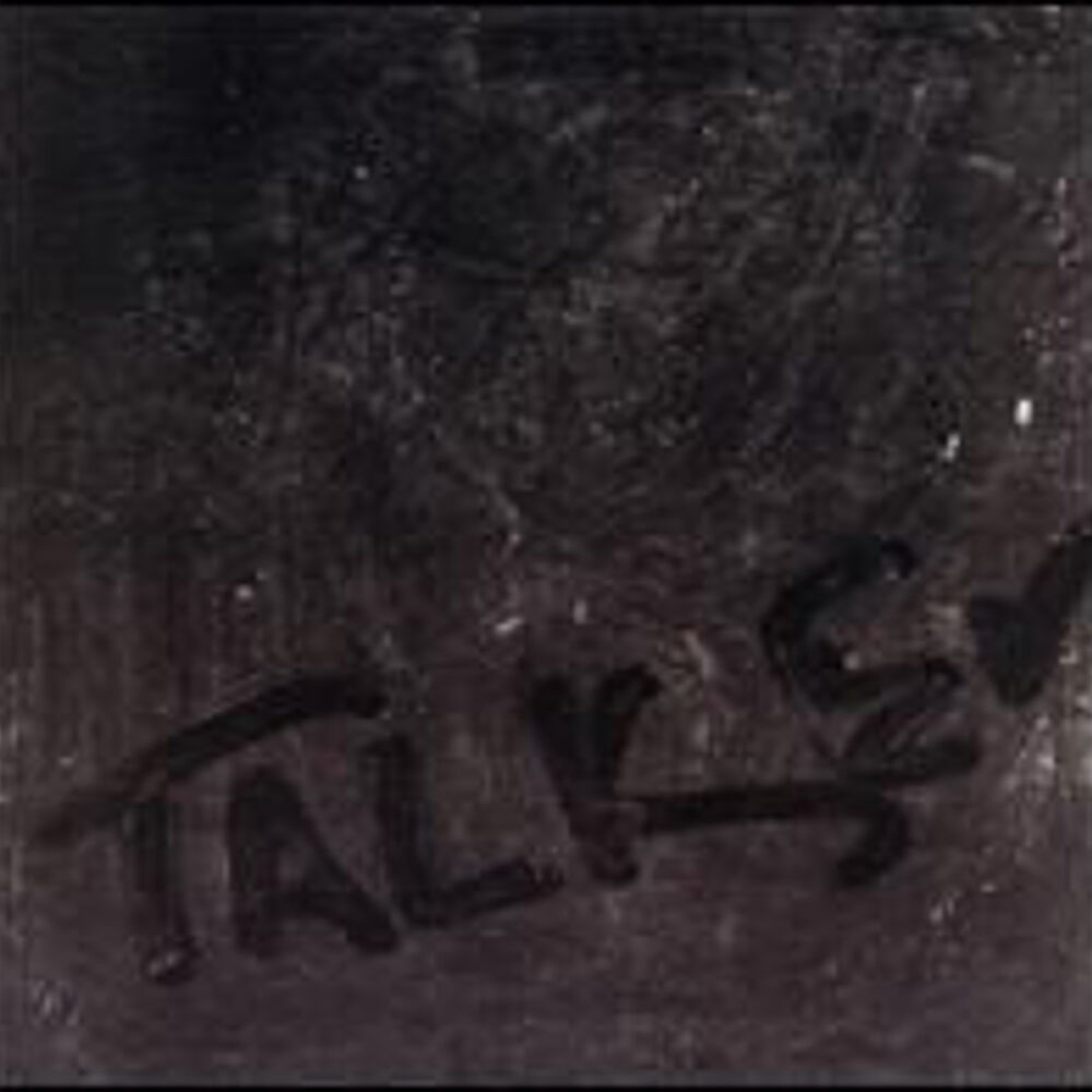 Picture of Talker