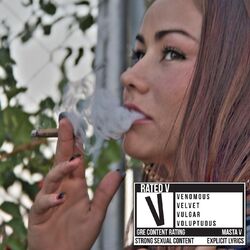 Cover of Rated V