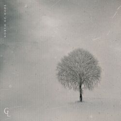 music cover