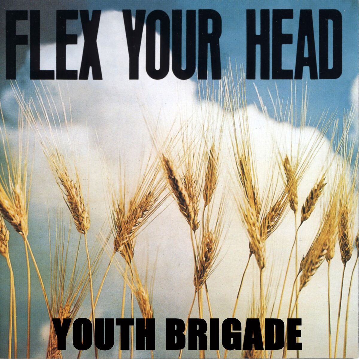 Album cover of Flex Your Head