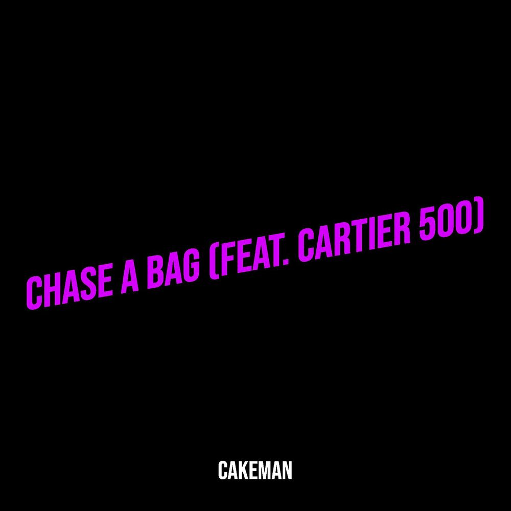 Picture of Chase a Bag