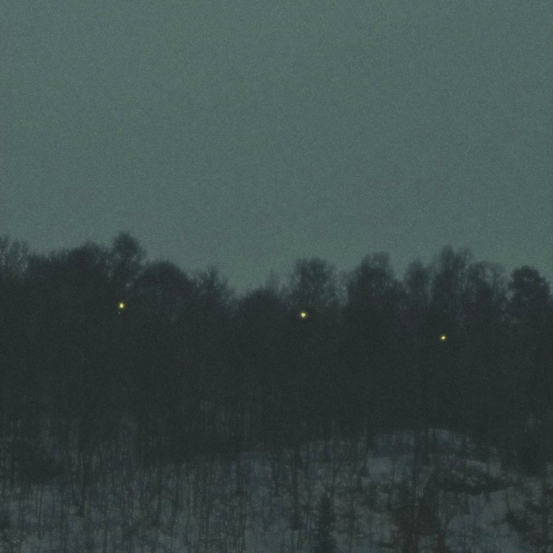 Album cover of thank you for the story (feat. Ornithology)