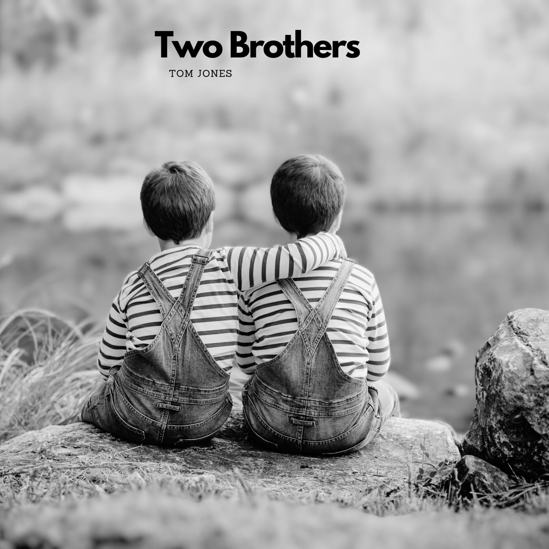 Album cover of Two Brothers
