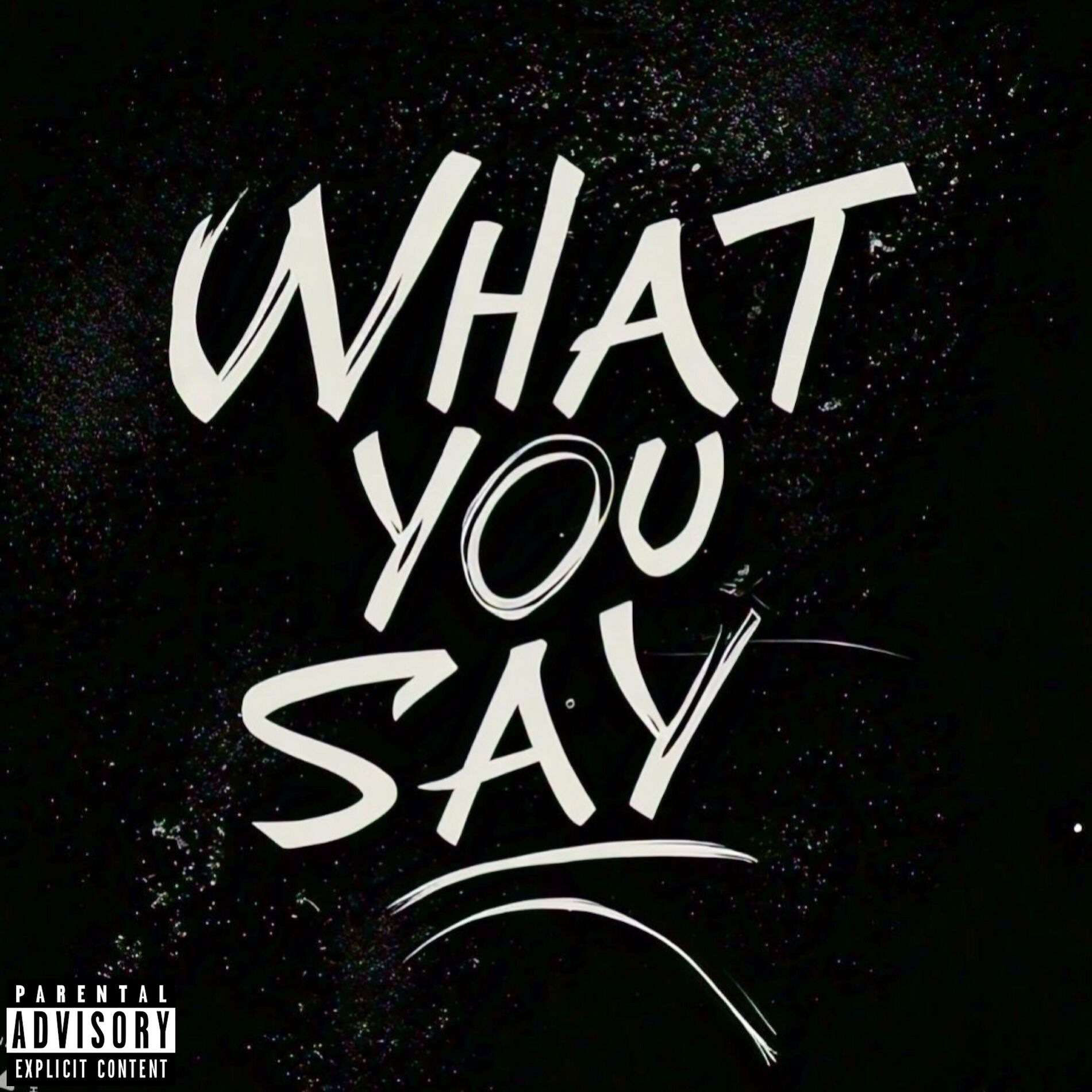 Album cover of What You Say?
