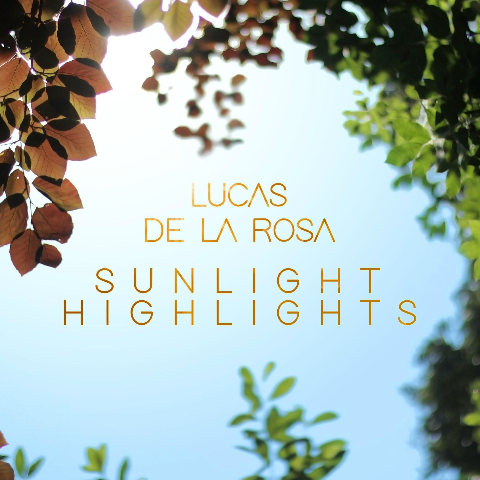 Album cover of Sunlight Highlights