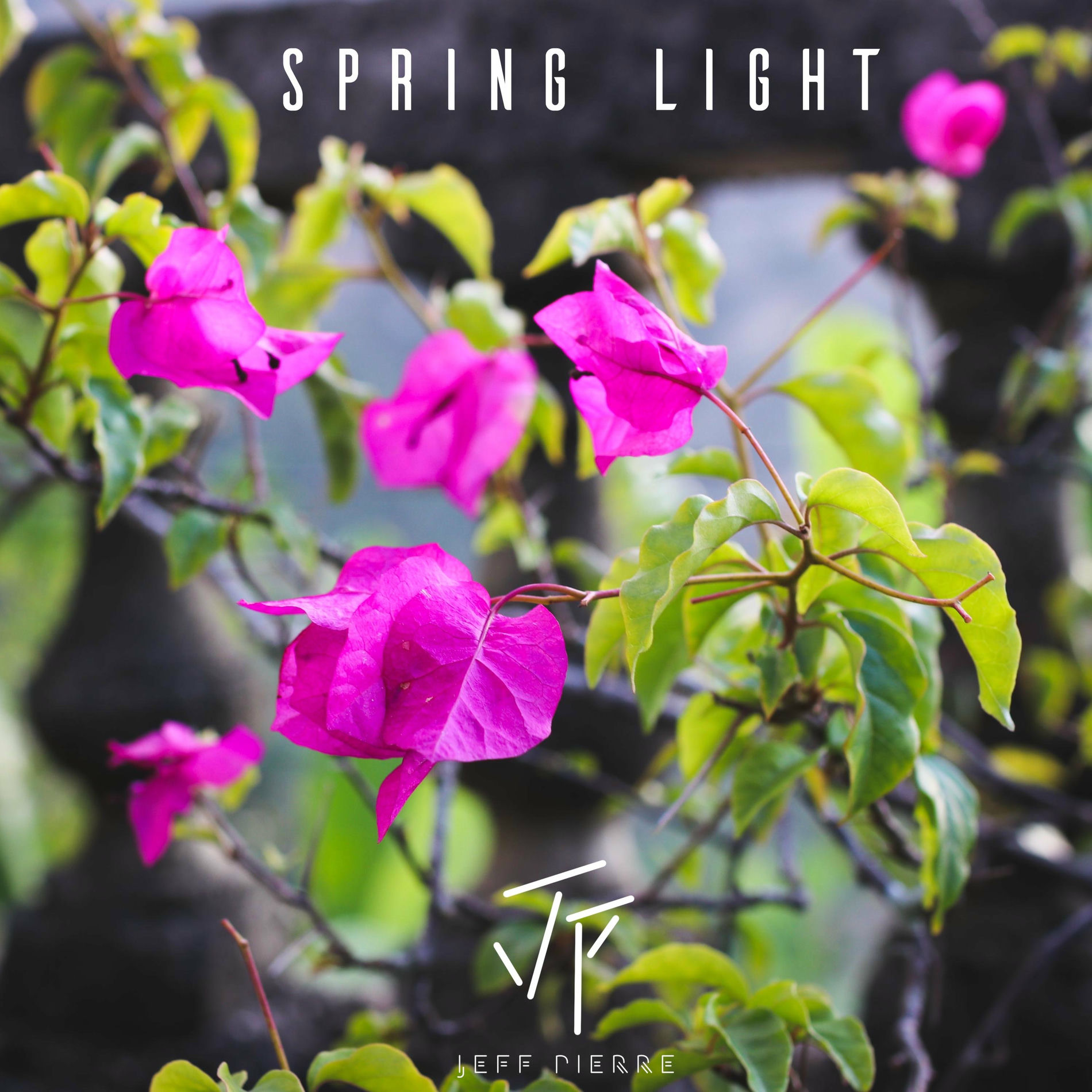 Album cover of (inst) (instr)