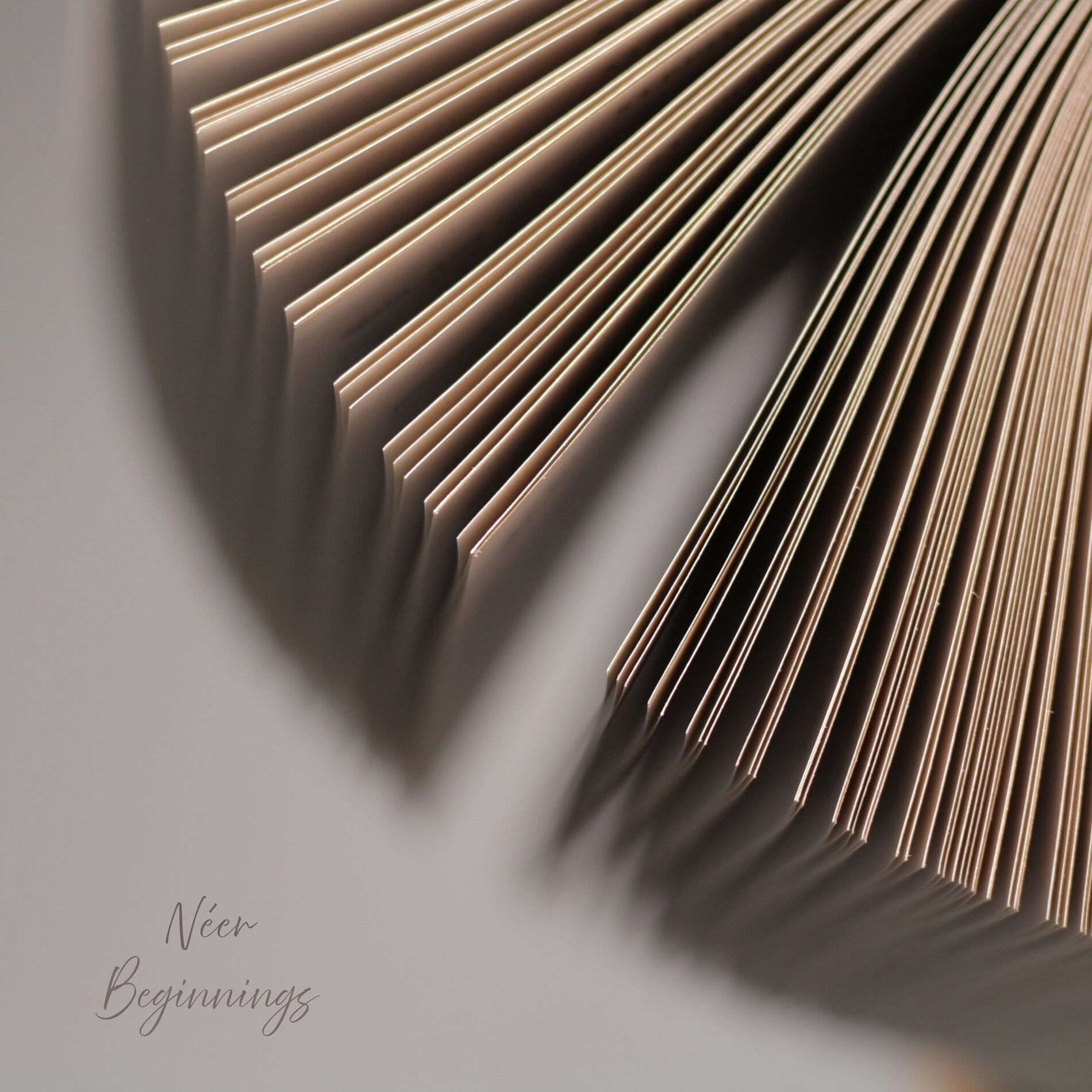 Album cover of Beginnings