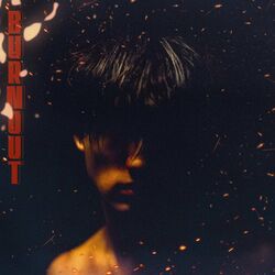 Cover of Burnout