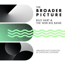 Cover of The Broader Picture