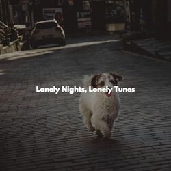 Cover of Lonely Nights, Lonely Tunes