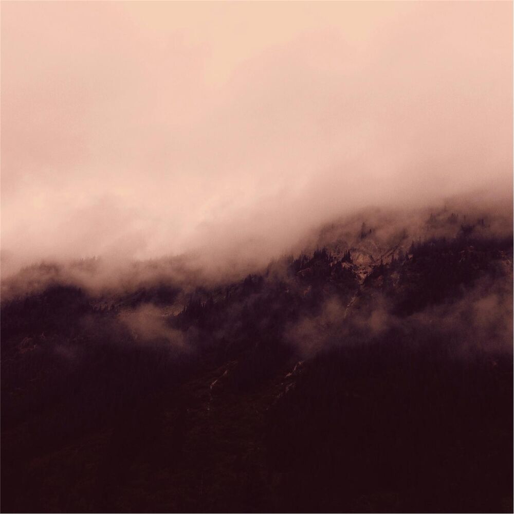 Picture of Pink Moon