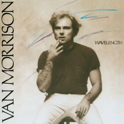 Cover of Wavelength