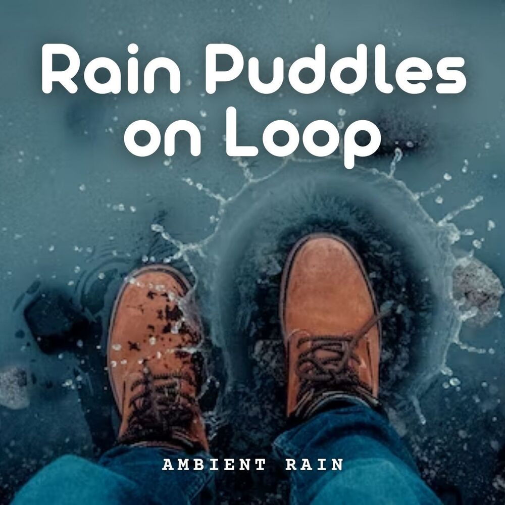 Picture of Ambient Rain: Rain Puddles on Loop