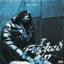 Cover of I Fucked Up