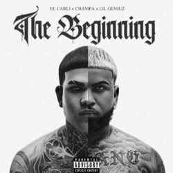 Cover of The Beginning