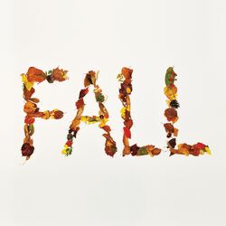 Fall