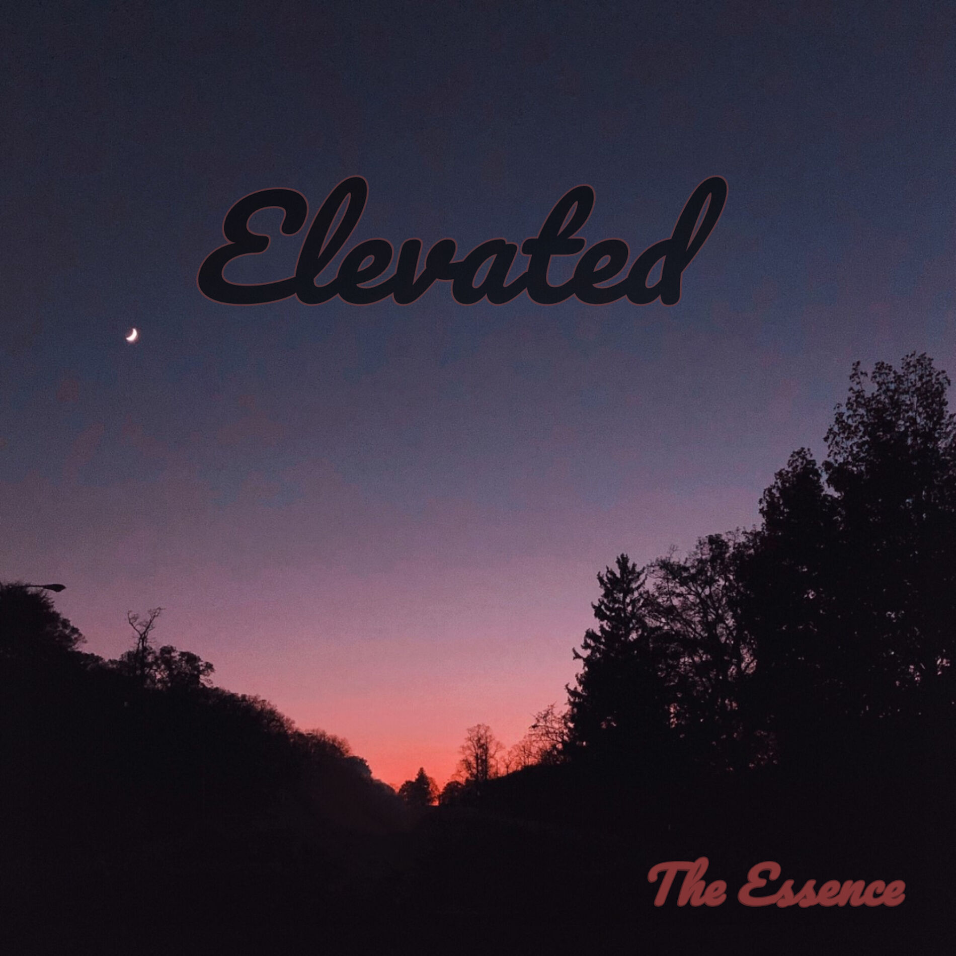 Album cover of Elevated