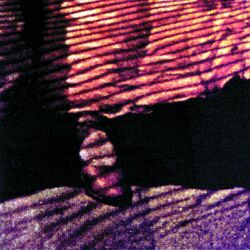 Cover of Red Dust & Spanish Lace