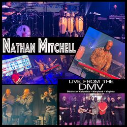 Cover of Live from the DMV (Live)