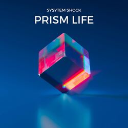 Cover of Prism Life
