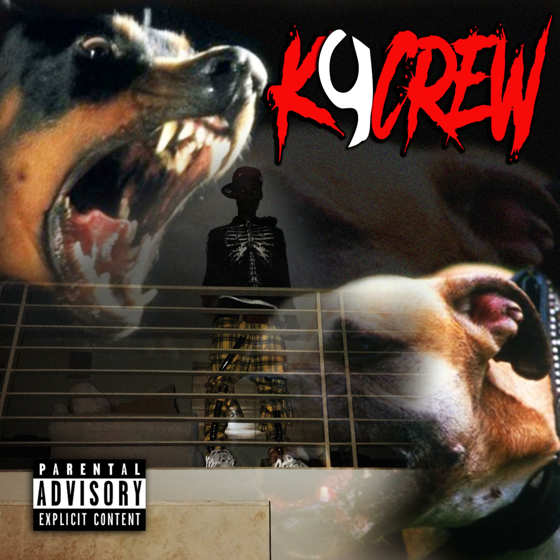 Album cover of K9 Crew