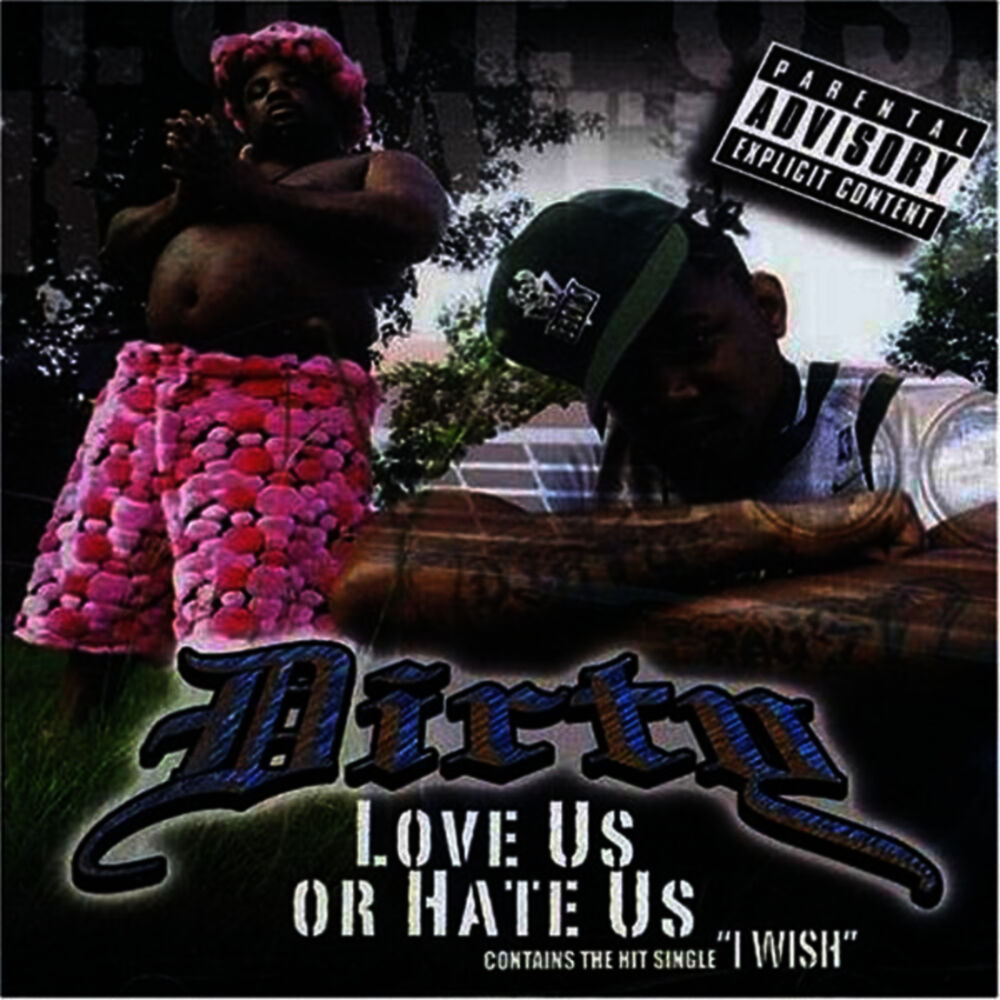 Picture of Love Us or Hate Us